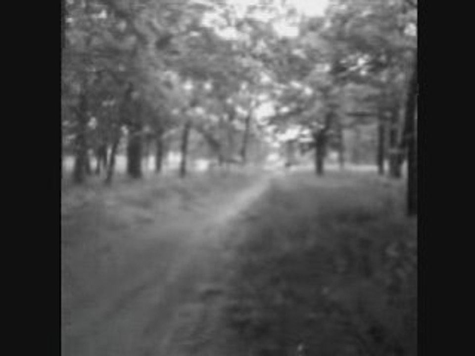 SansTitre_0006
