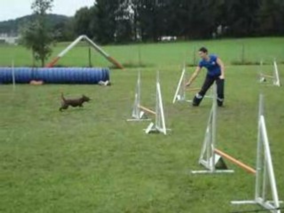 Jumping Mellingen 2008 Popeye