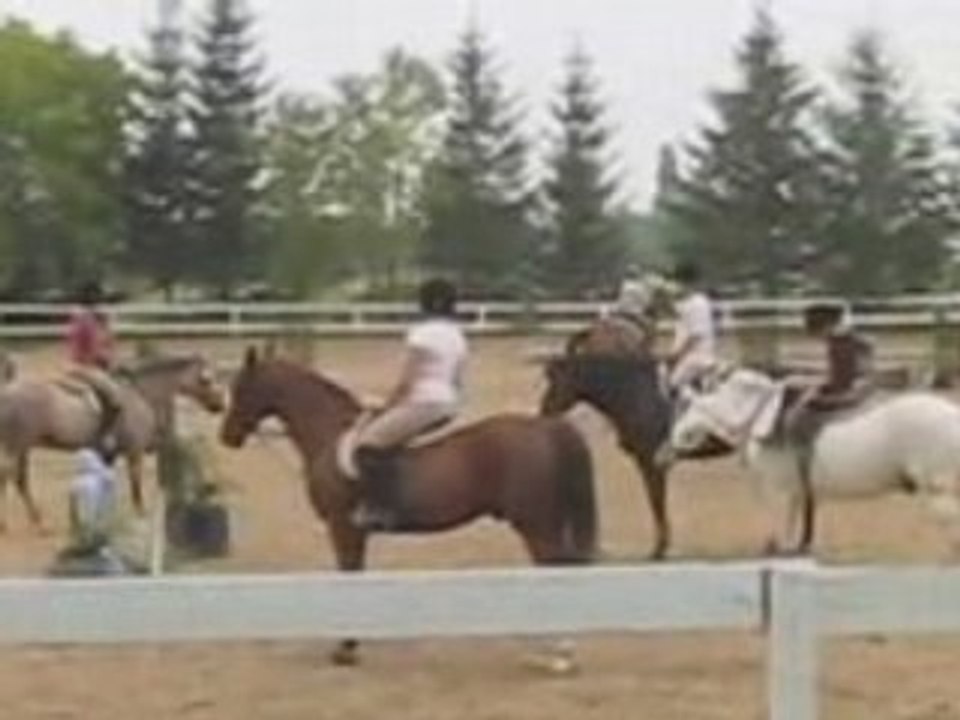 Cours préparatoire pour le concours de la licorne!