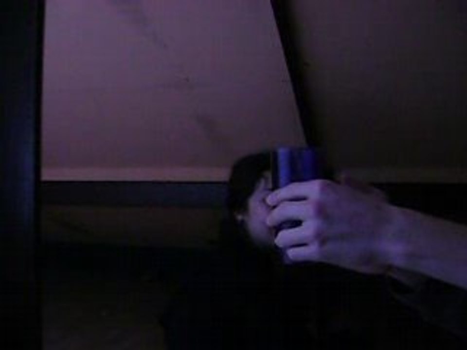 MOV06608
