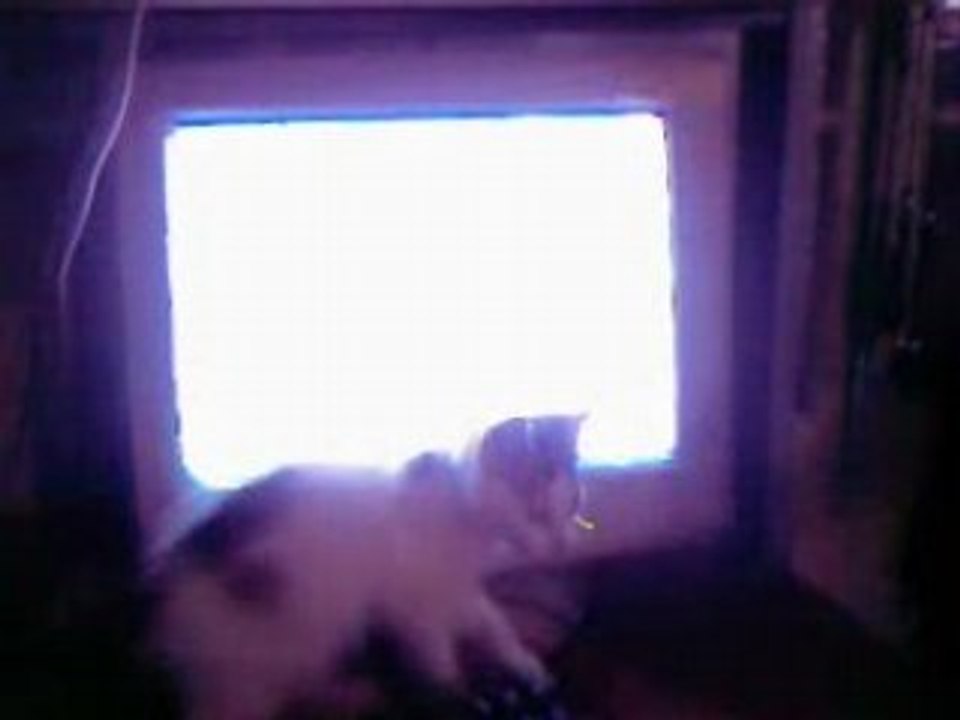 LeChat