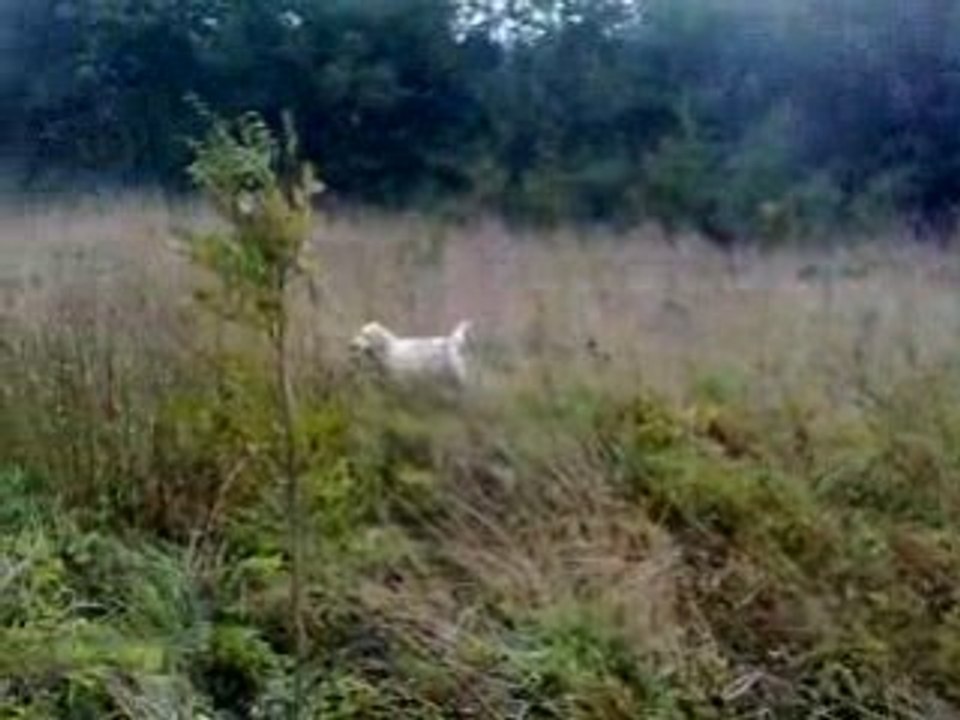 Entrainement Deehane 07-09-08