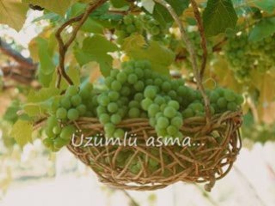 Penceresi Önünde/Volkan Konak-by mnelam.blogcu.com