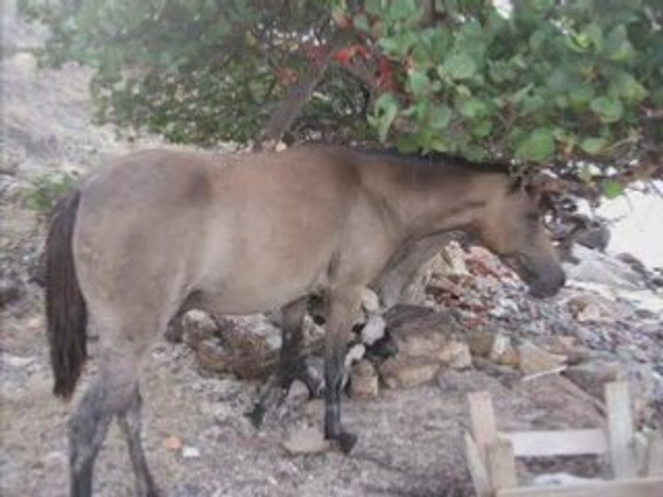 Montage déjà 4 mois ensemble