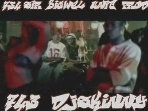 DJ SK!NNY ft Ludacris - Stand Up (Remix) S!R - B!GWEL PROD