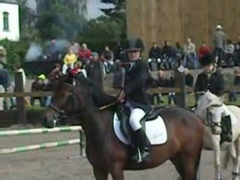 Jumpingfernelmont 026