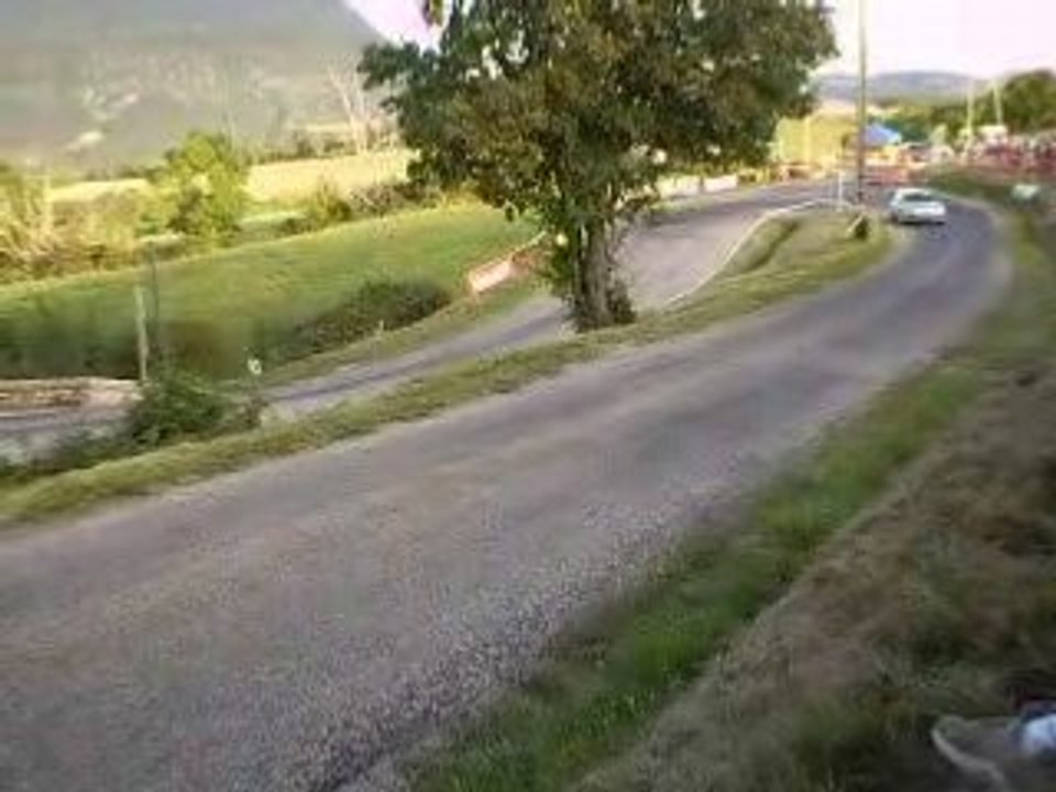PICODON 2008 - ES3 - BRUN