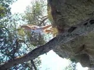 Saut calanques marie melissa