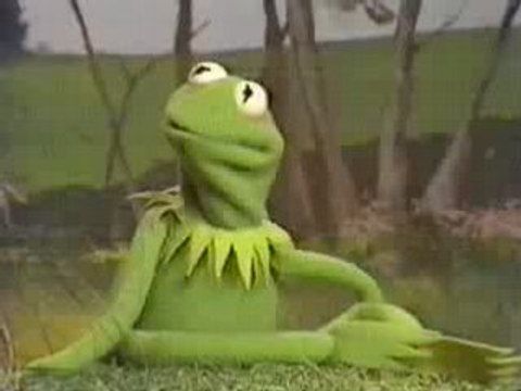 Sesame Street - Its Not Easy Being Green