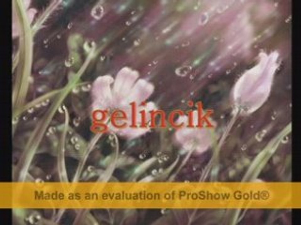 Gelincik