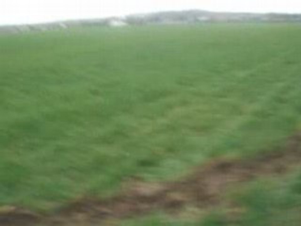 30 seconds To Cambrouse with Xane