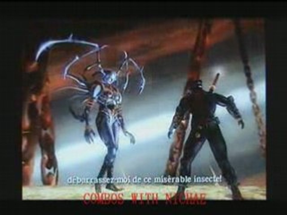 ninja gaiden  black nichae combos