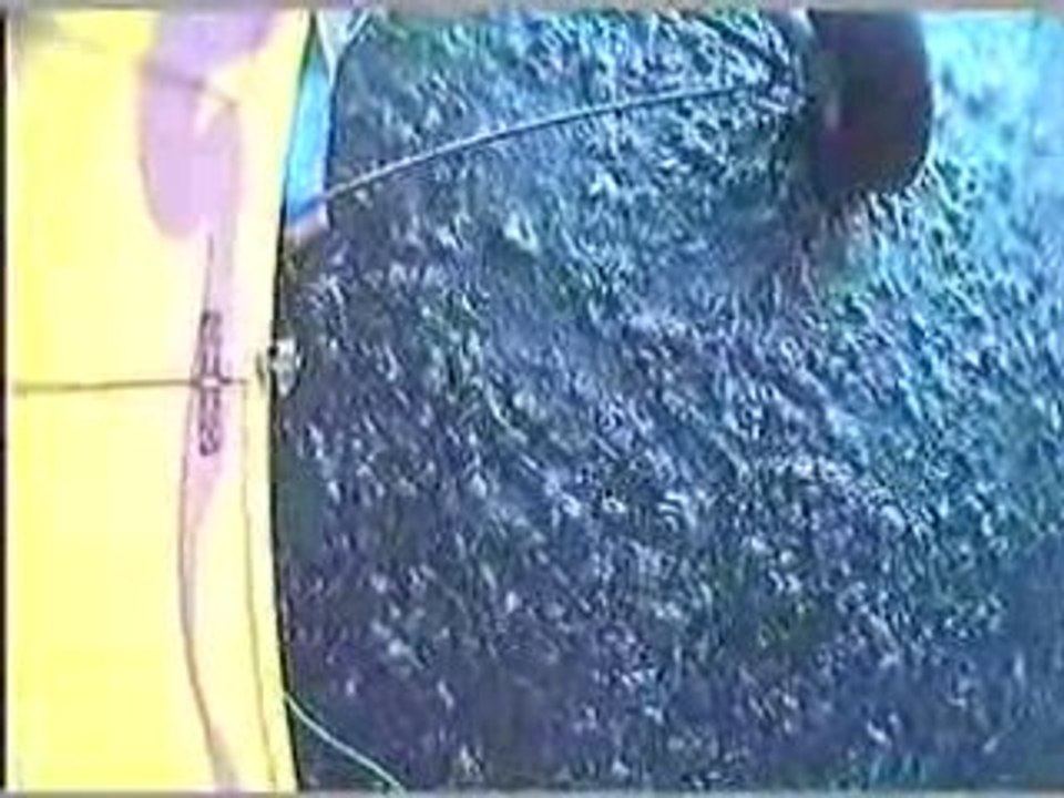 Composite PCTV 100e 2008-09-08 17-50-03h