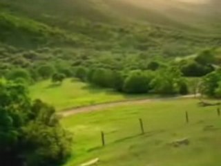 2pac is alive proof in the car