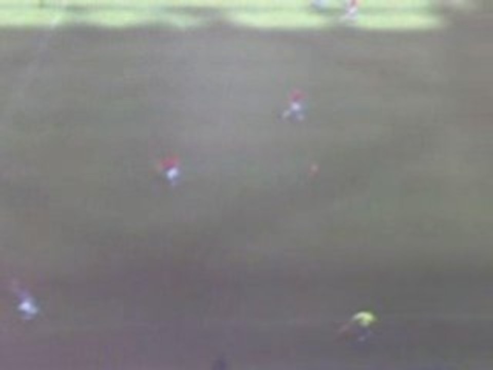 PES 2008 But de fou de Camoranesi