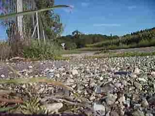 Tzr scr démarrage boulette!!