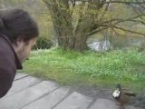 Yohan &  le canard danois