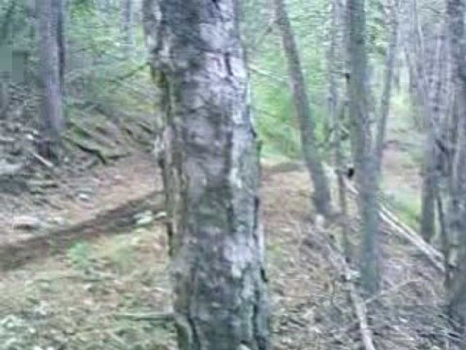 team-dawa 60kx dirt 110/2