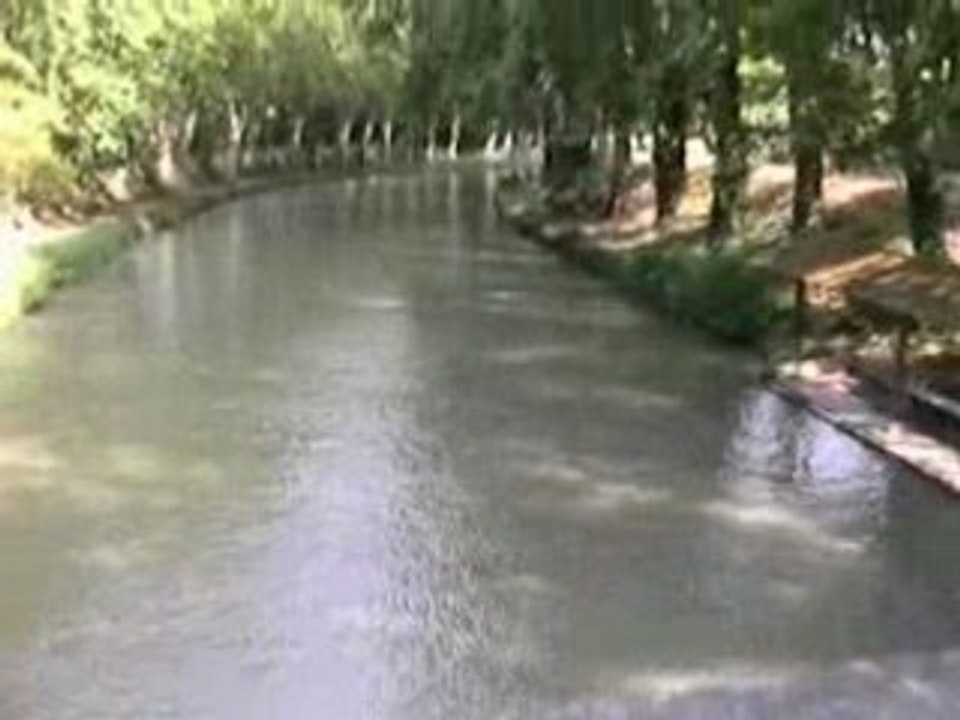 Castres et son débutant (2)