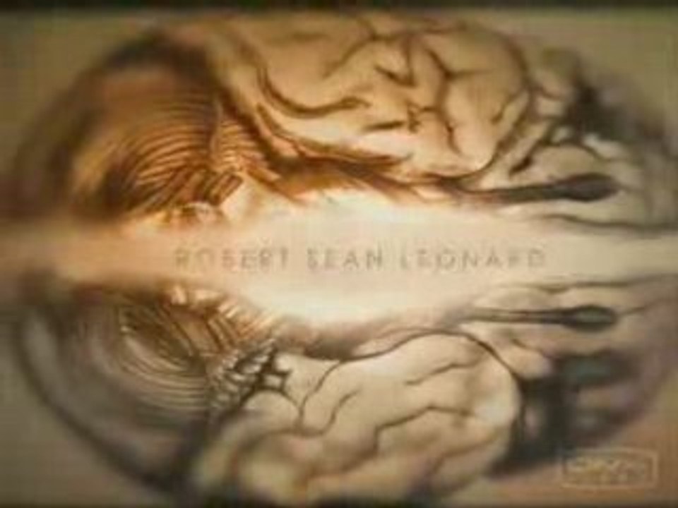 Dr. House Theme Song
