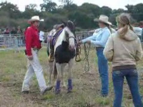 démo équitation américaine