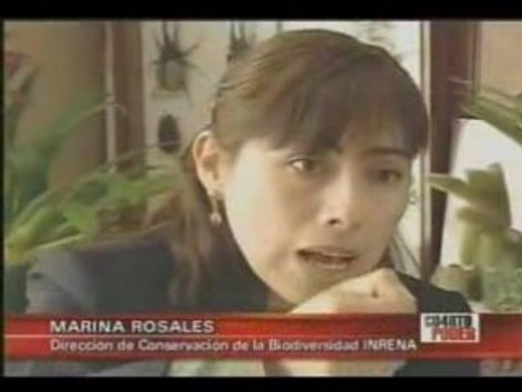 Cuarto Poder - Peru Patentado (2de2)