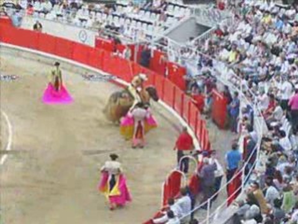 PLAZA DE TOROS DE BARCELONA - JULIO 2008