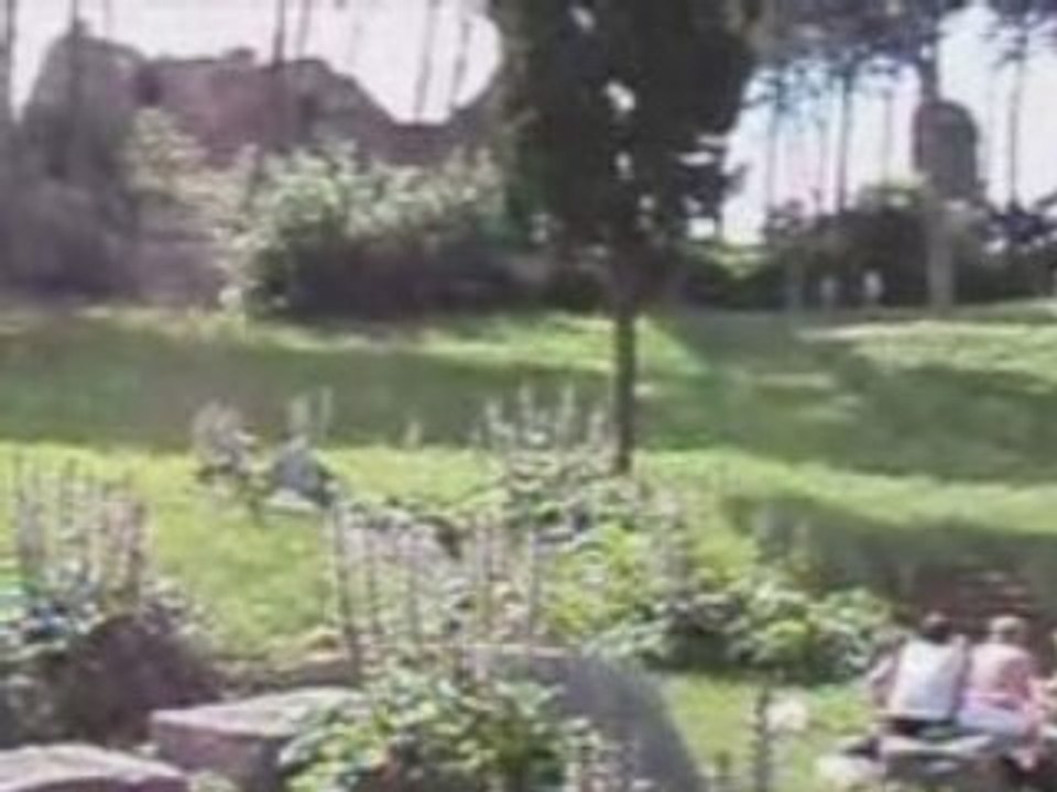 Rome 1