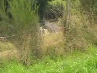 Rallye de la Famenne (Test)