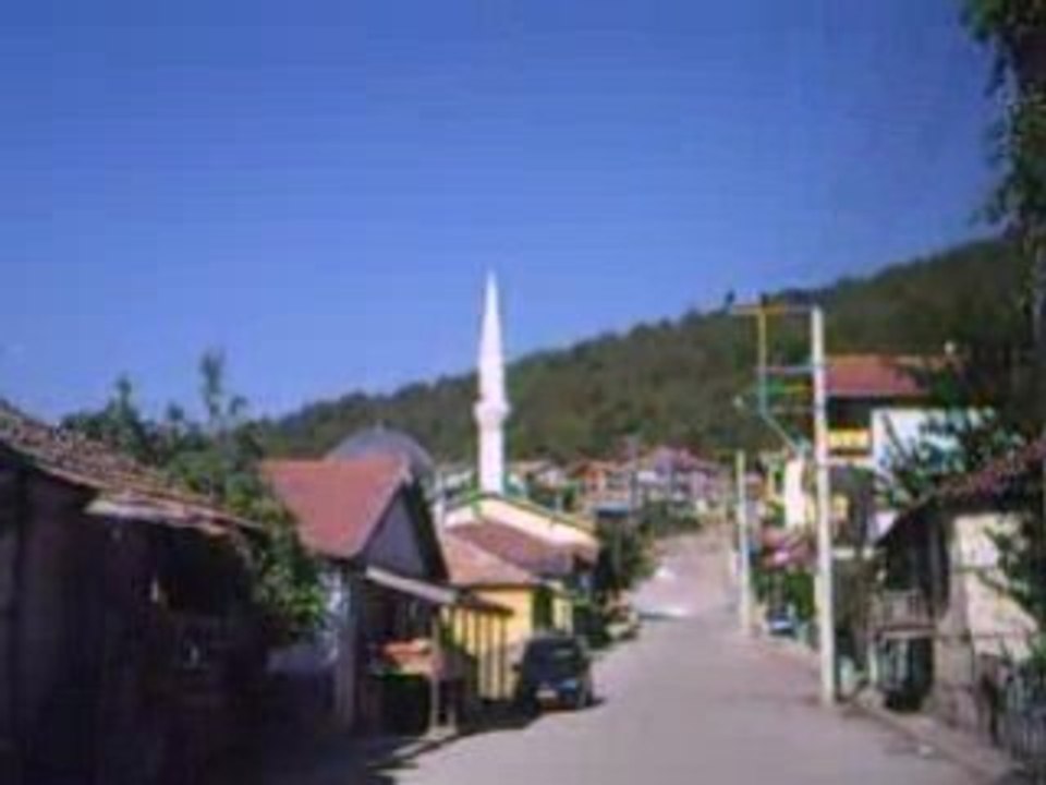 CEVİZLİ - AKSEKİ - yediler