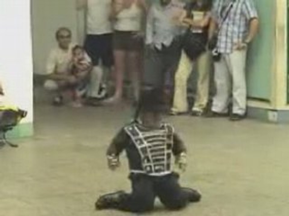 Mini jackson