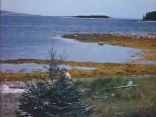 Ile aux chênes-trésor avec Bill Burrud 1958(2)