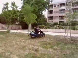 Cer un fou 2