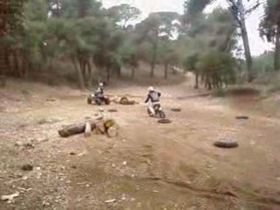 ALI en quad reconstituer par Rémeu mdr