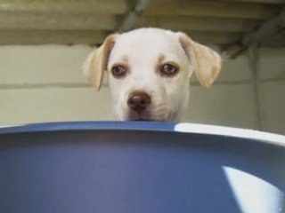 Der Anissaras-Wurf, oder besser der "Wurstsalat"