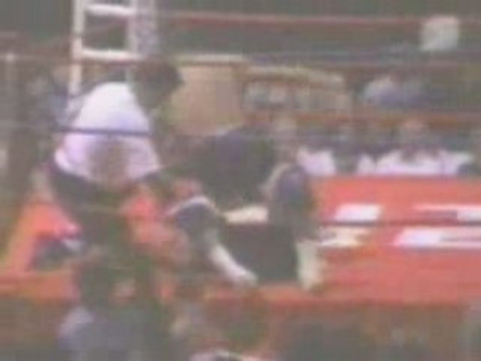 Evan Tanner vs. Heath Herring