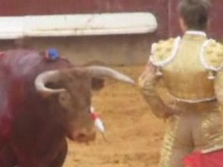 DAX 6 SEPTEMBRE 2008 : JUAN BAUTISTA