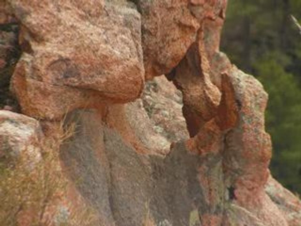 Picnique à Porto puis retour par Piana