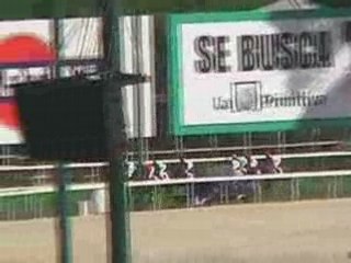 2008 (344) Premio PEPSI (Cat. C) (CANTINA)