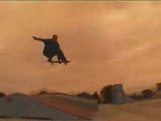 Clip Skate Seb petiot  Wood destroyed video