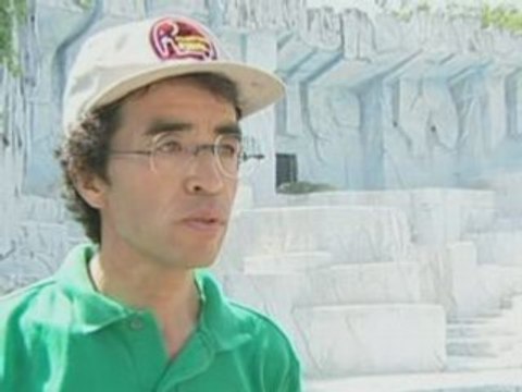 Polar bears turn green