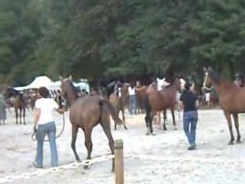 CLIP0021