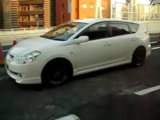 ＣＡＬＤＩＮＡ　ＺＴ movie