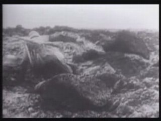 1914-1918 :  Verdun - Jutland