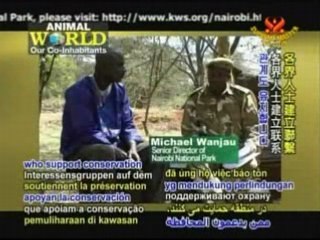 Nairobi National Park: Kenya's Urban Oasis - Part 2