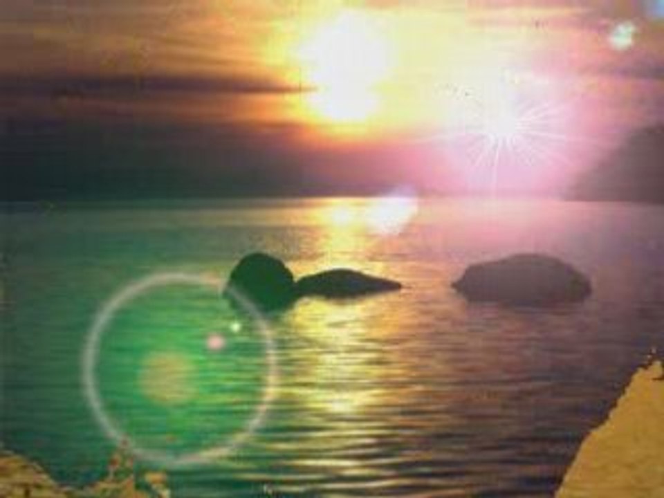 Freedom to love