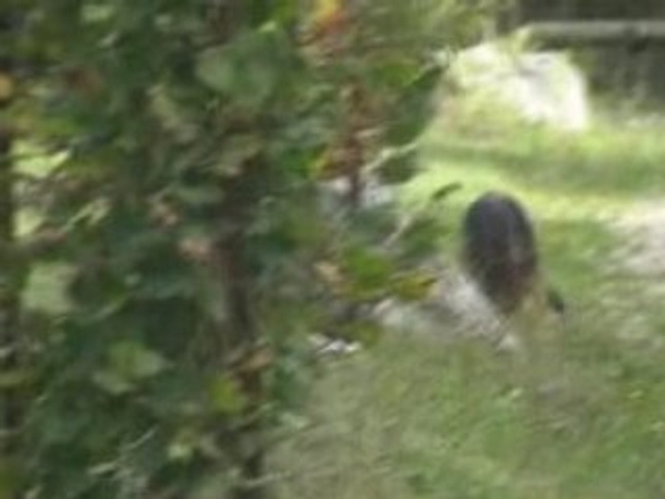 ballade