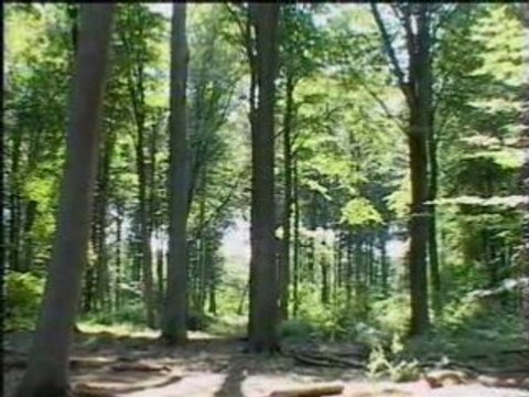 A la découverte de la Bible : Les sources