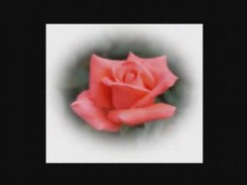 Cheb nasro-3tak Rabi Blaça fi Guelbi