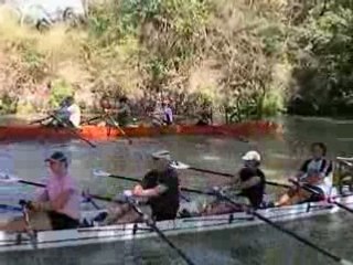 Castres se déchaine